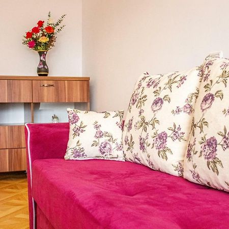 Downtown Luxury Apartment Piatra Neamţ エクステリア 写真