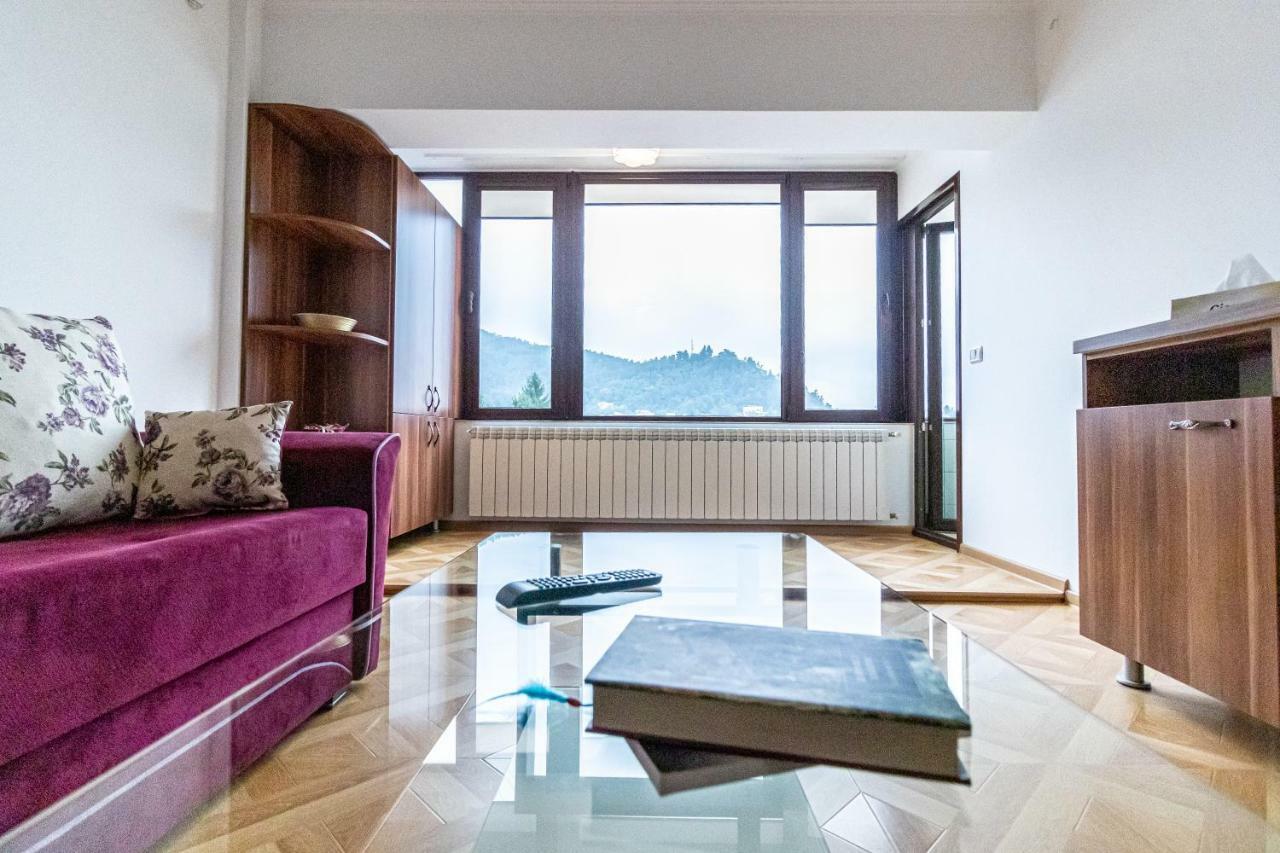 Downtown Luxury Apartment Piatra Neamţ エクステリア 写真