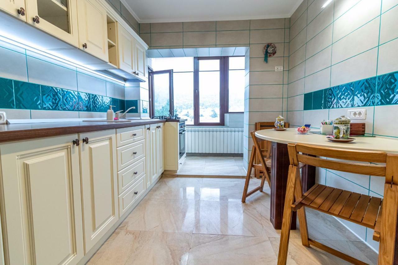 Downtown Luxury Apartment Piatra Neamţ エクステリア 写真