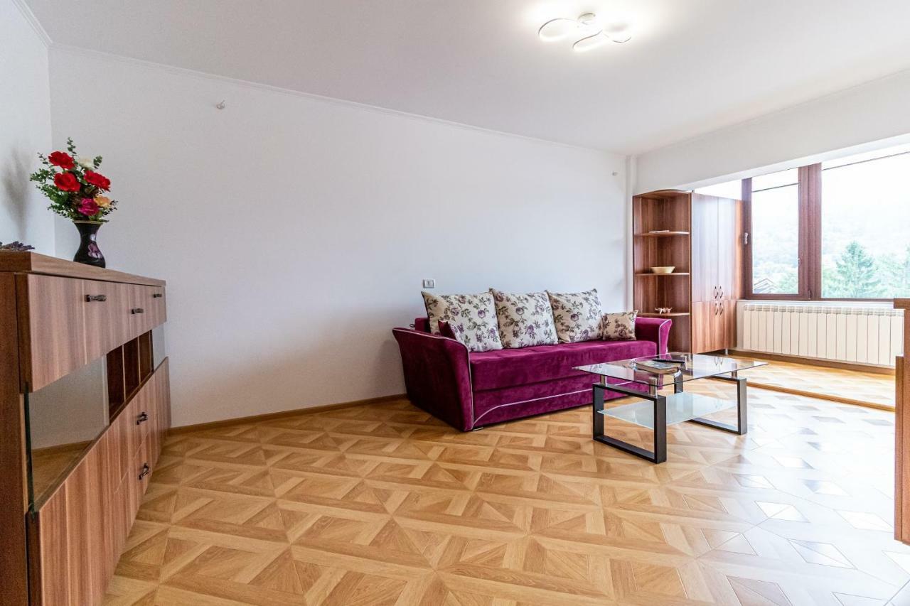 Downtown Luxury Apartment Piatra Neamţ エクステリア 写真