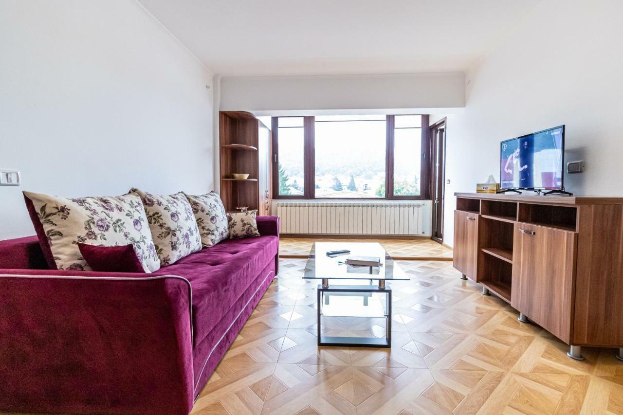 Downtown Luxury Apartment Piatra Neamţ エクステリア 写真